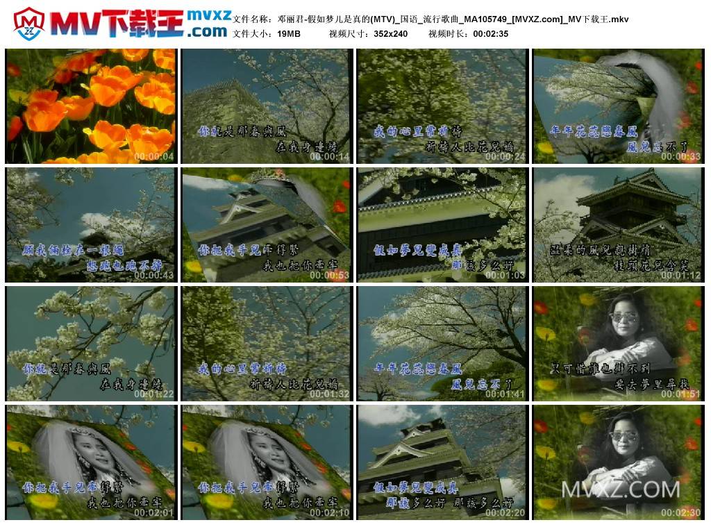 邓丽君-假如梦儿是真的(MTV)_国语_流行歌曲_MA105749